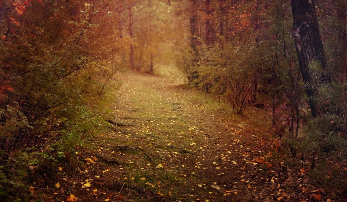 Embracing Slow Living in a Busy City